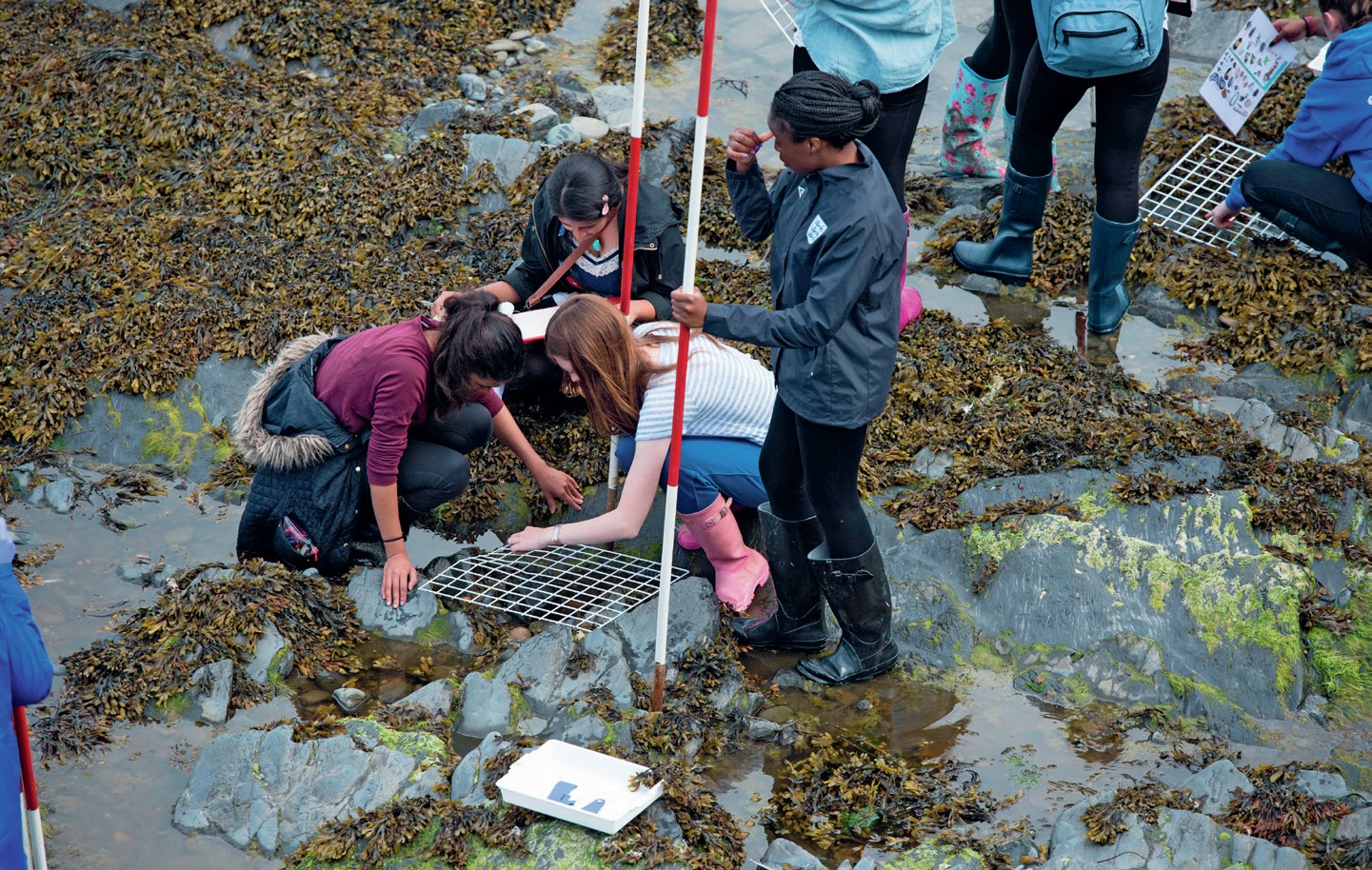 Photograph showing students performing geography fieldwork