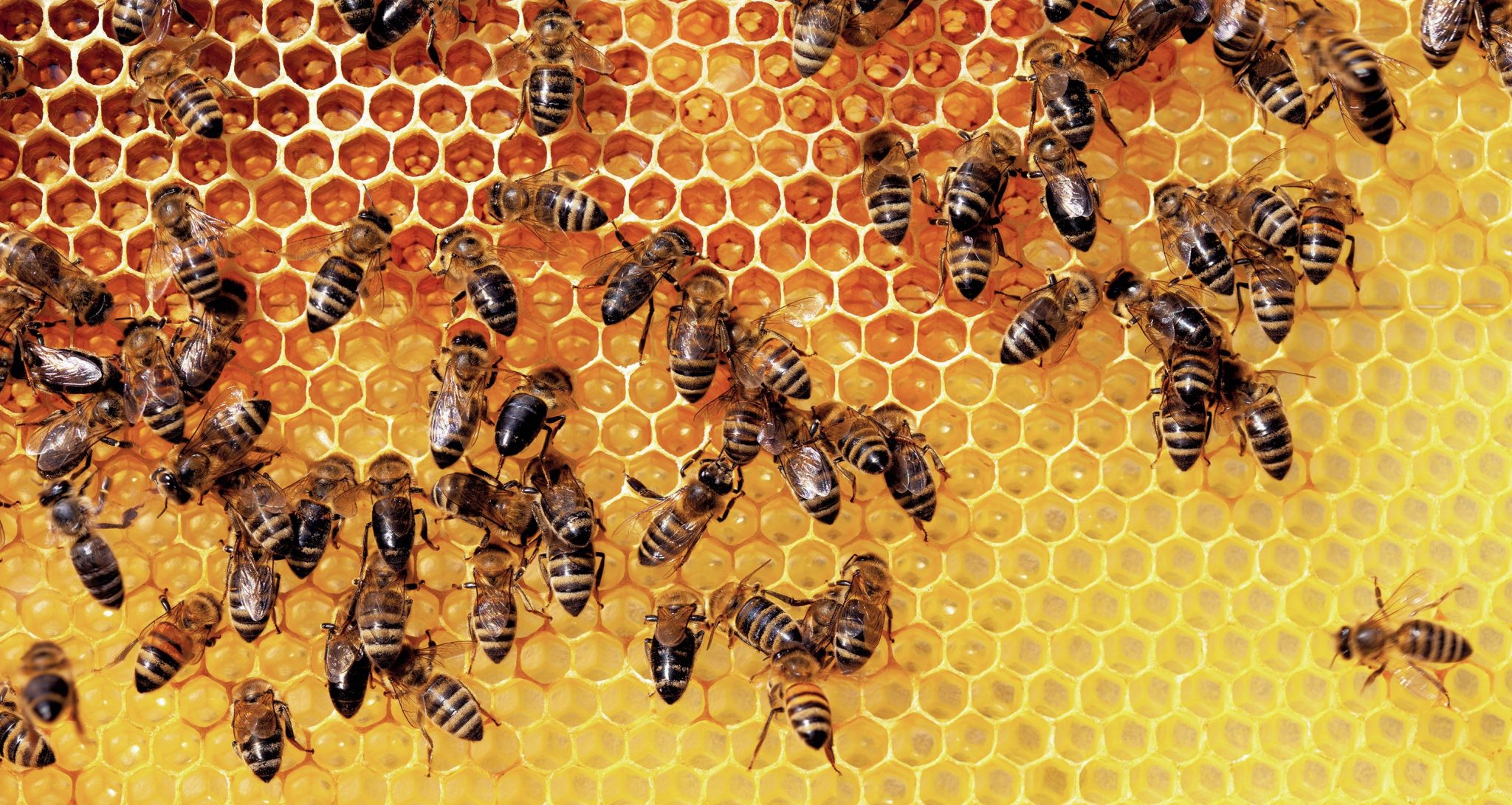 economic-review-hodder-education-magazines