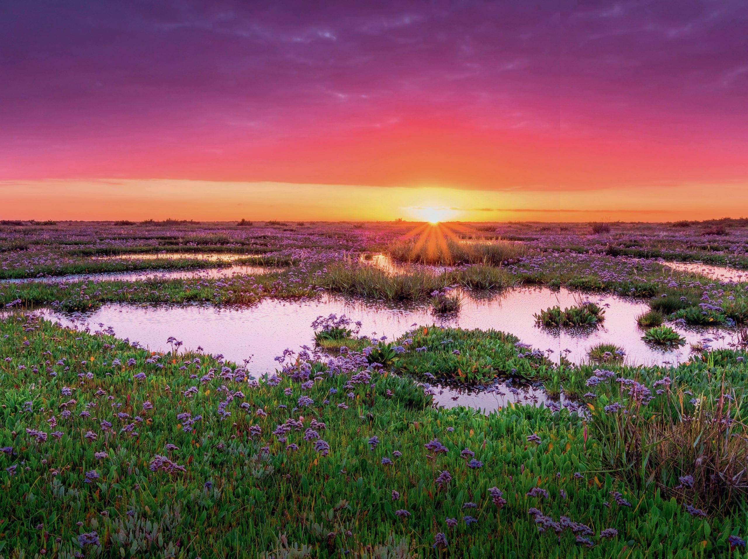 Sunset over a wetland landscape.