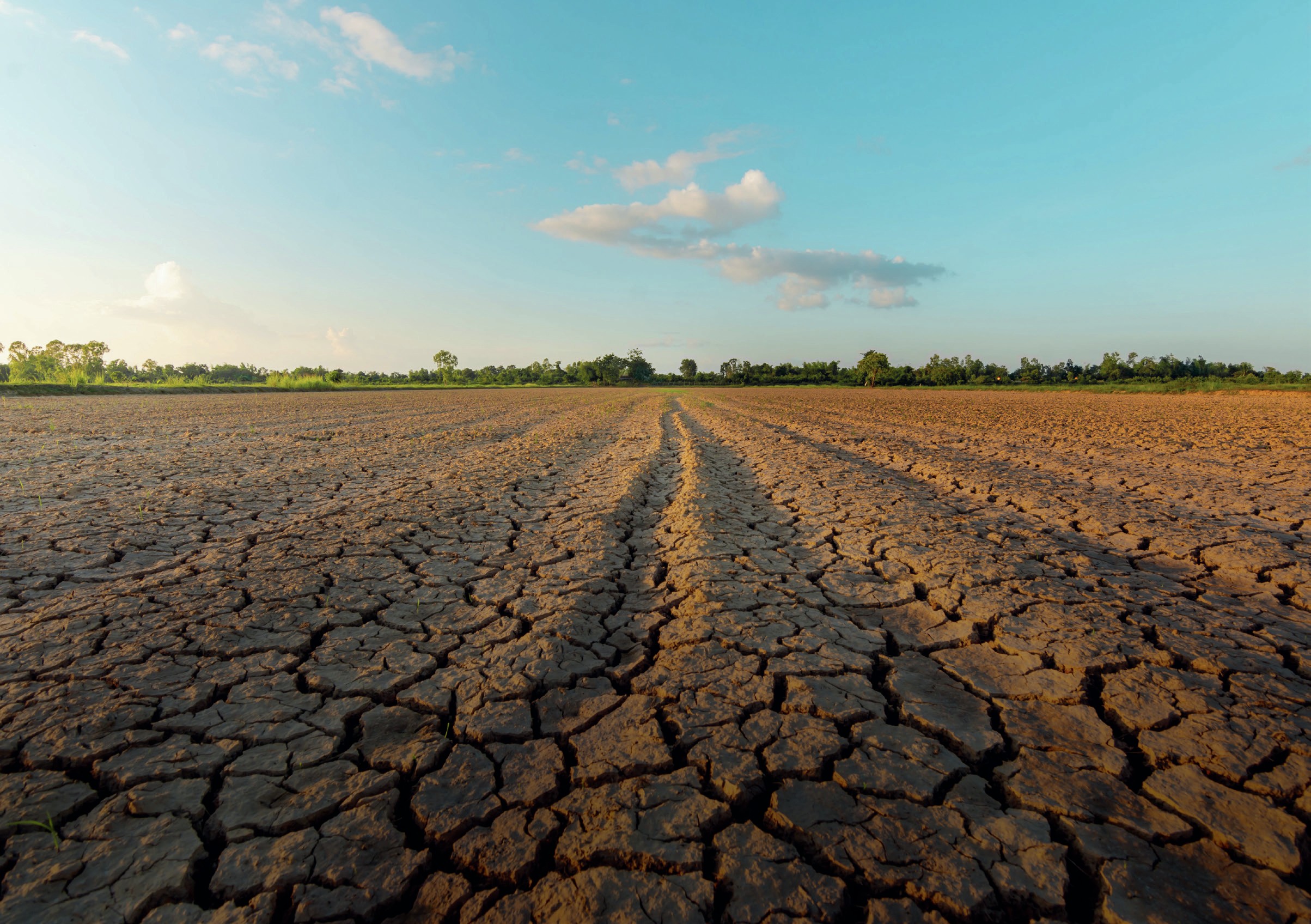 Arid farm landscape.