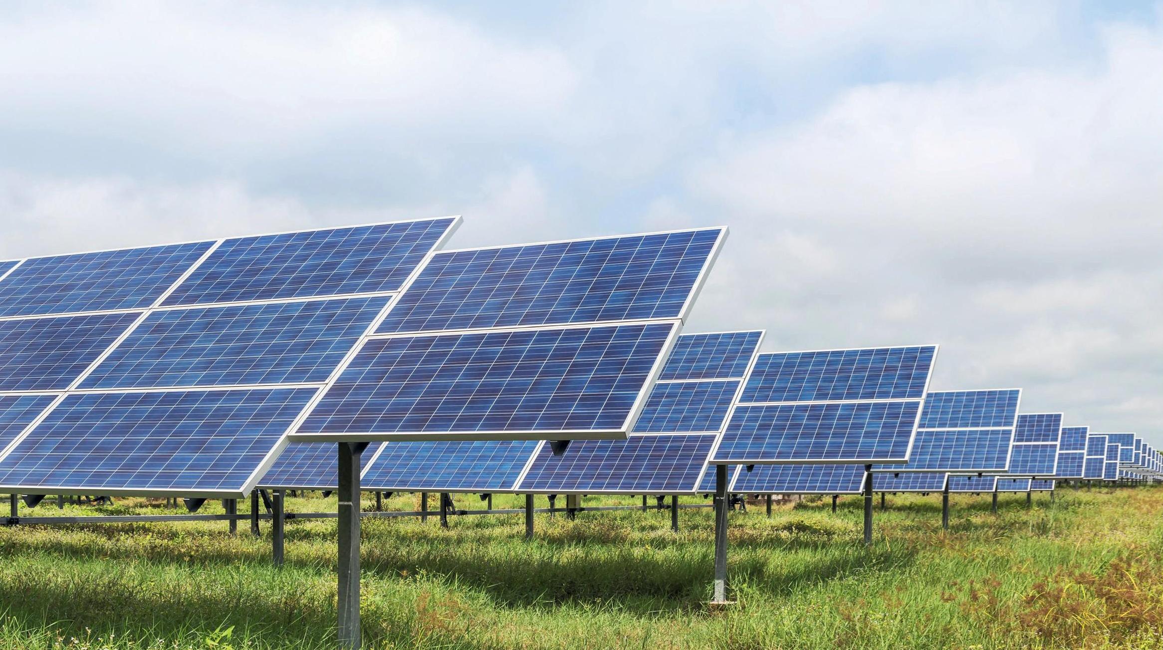 Solar panels in a field.