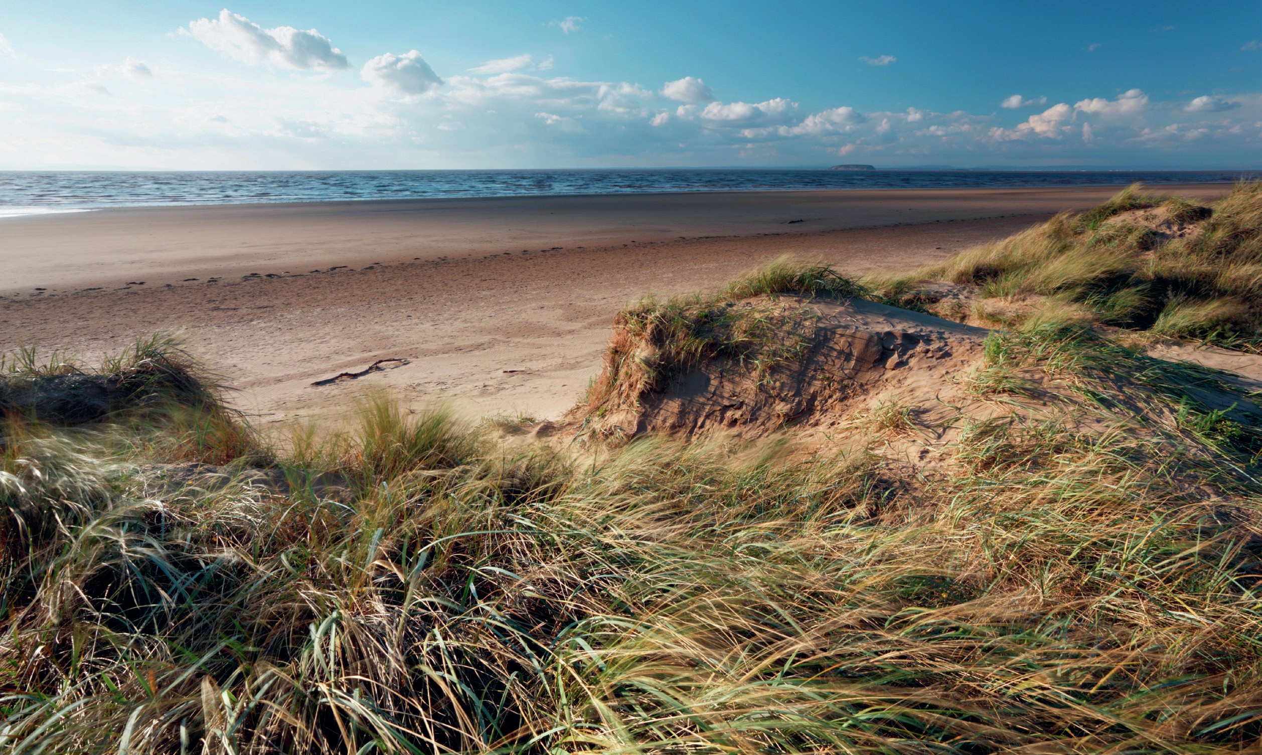 Sand, sea and grasses at Berrow Beach.