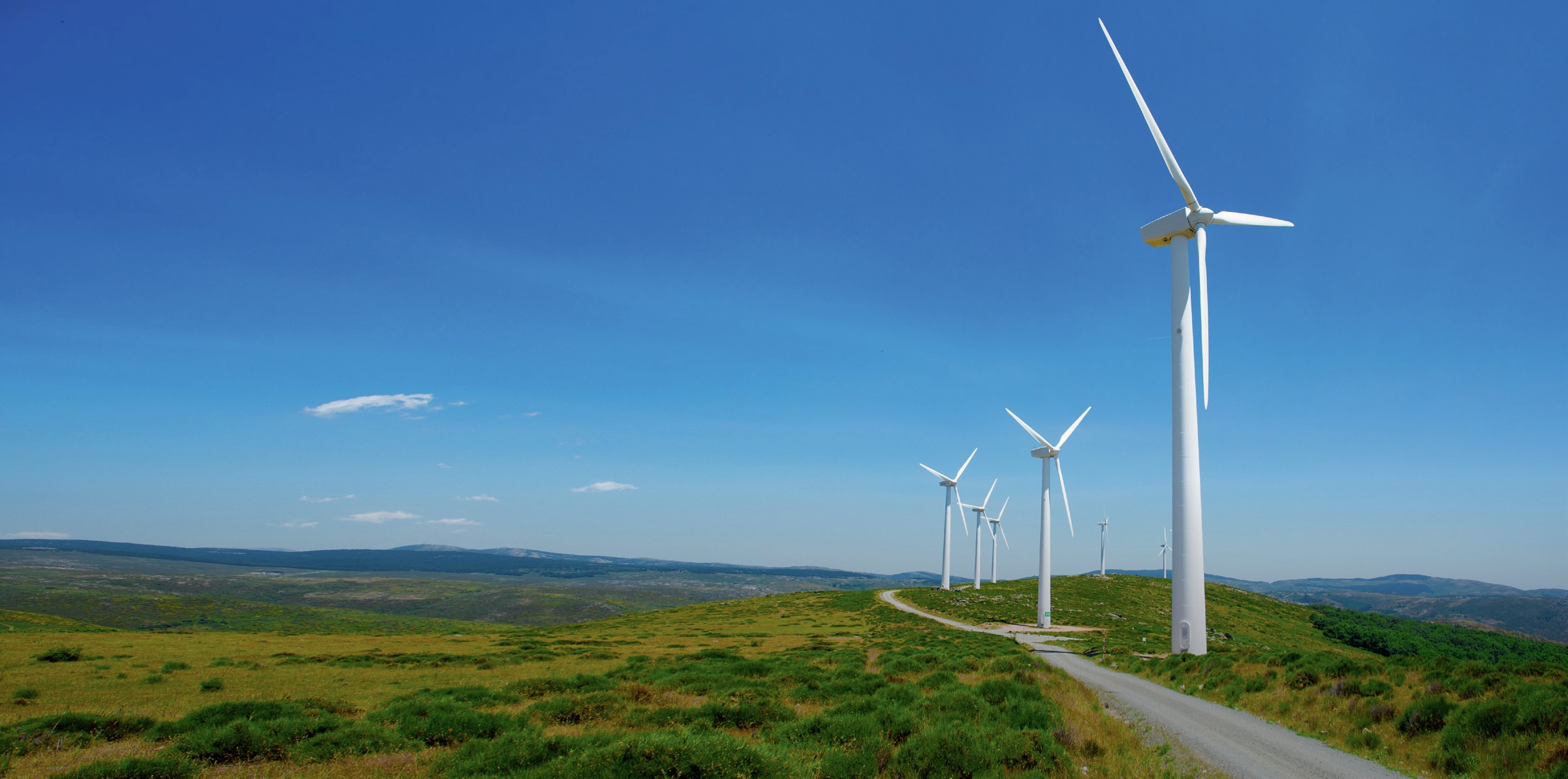 Hilltop wind farm with a row of turbines.