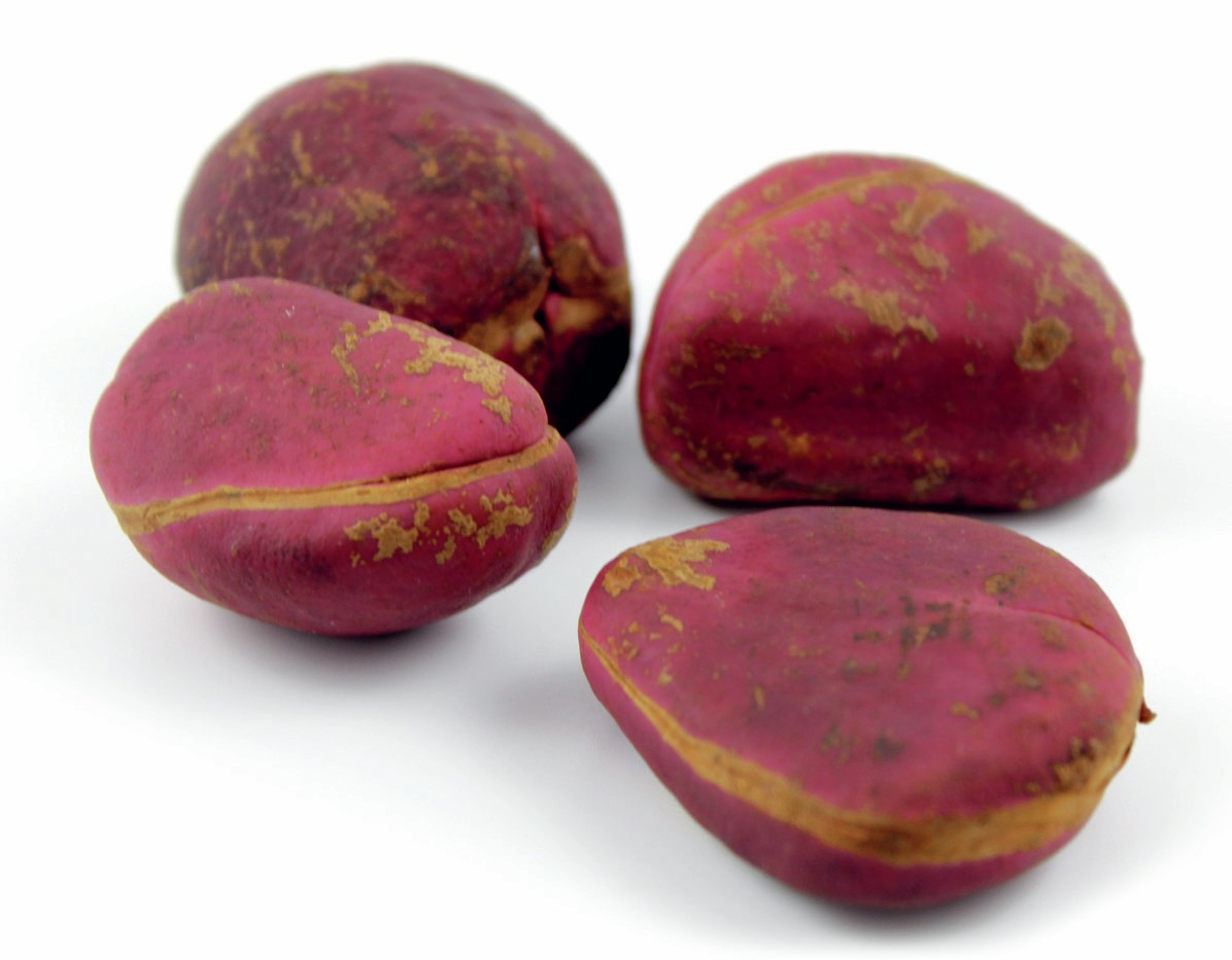 Pinkish-purple nuts