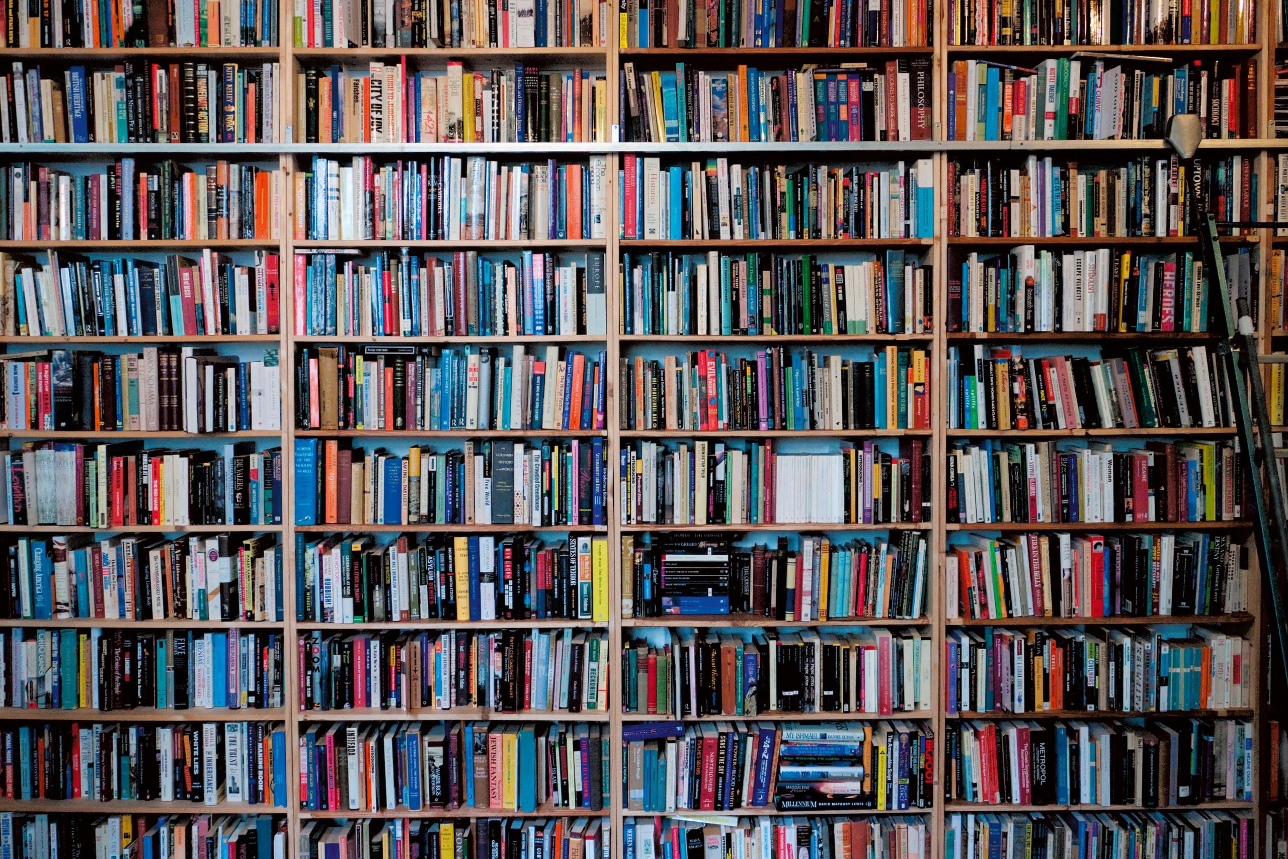 Lots of books on shelves.