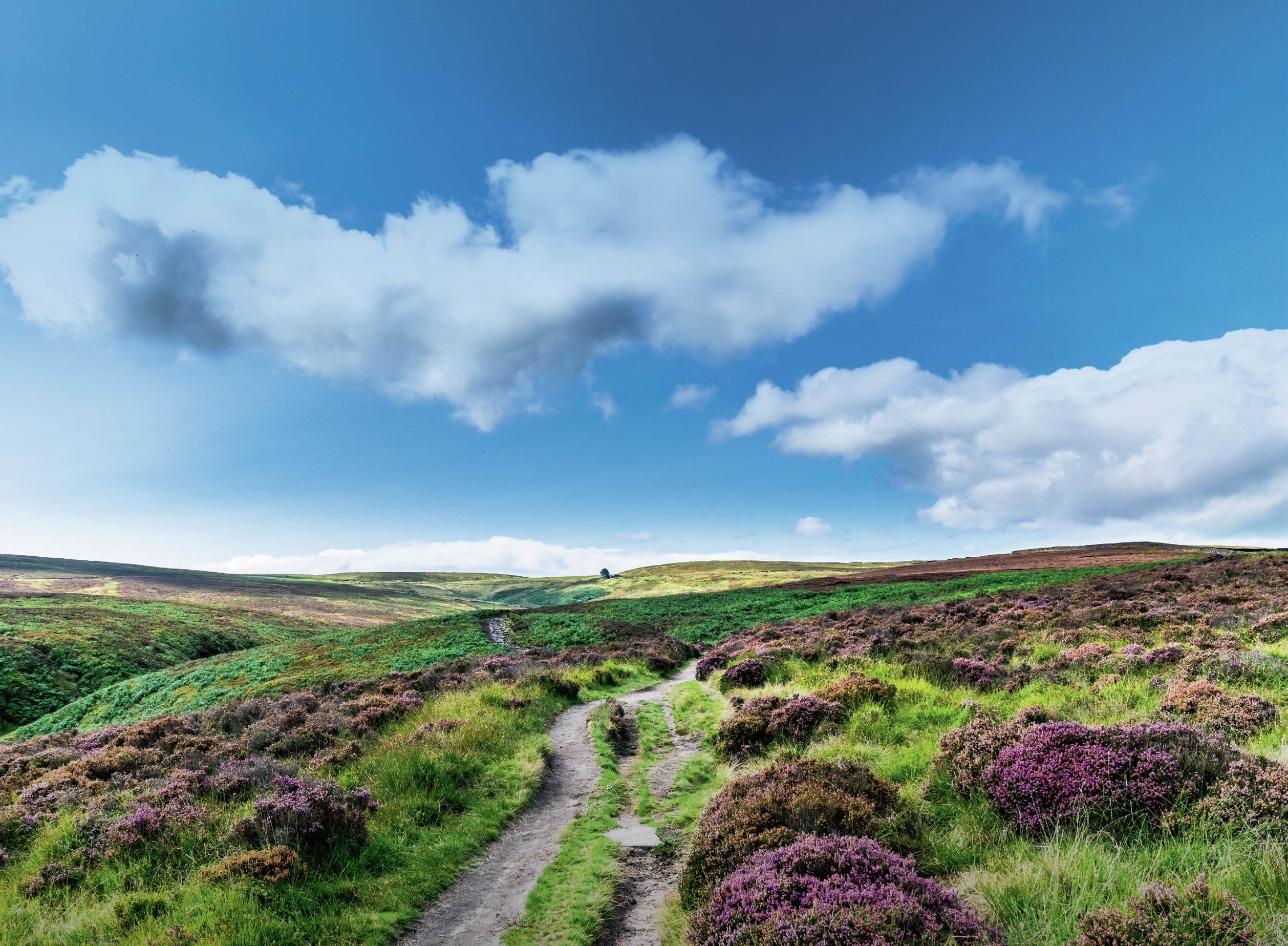 A path through moorland near Haworth, in sunshine.
